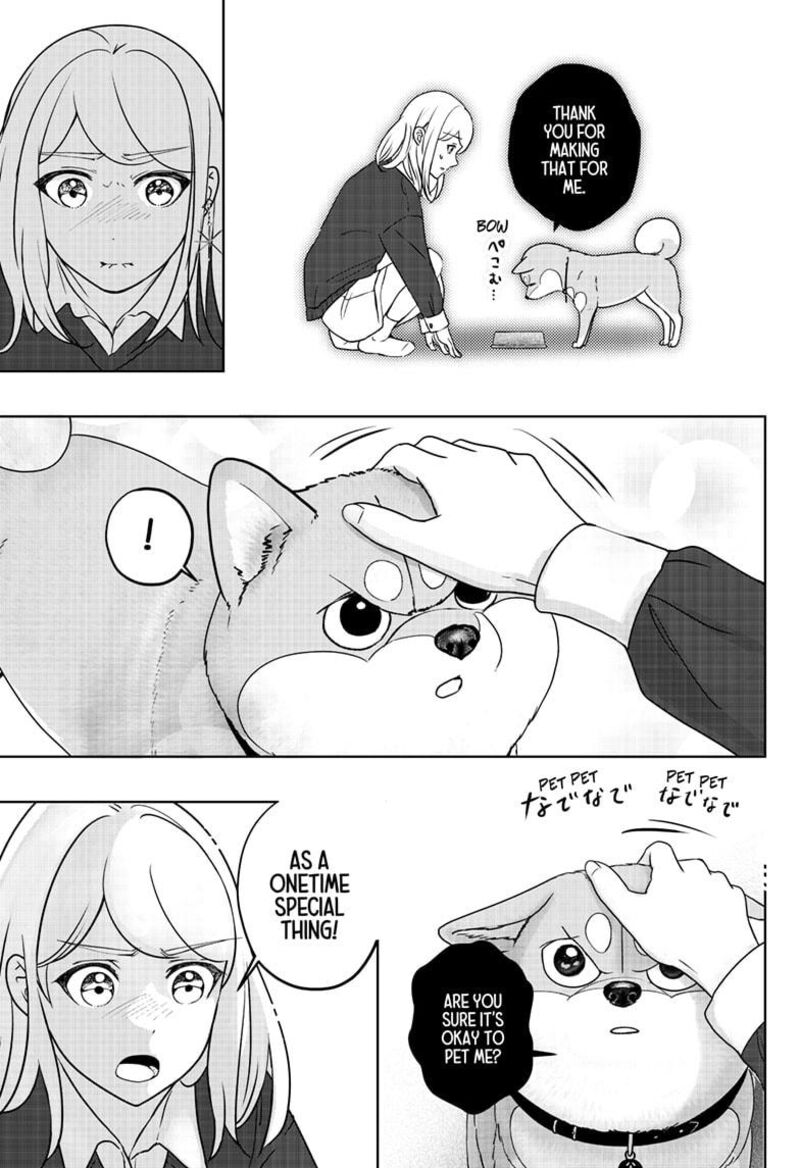 Shiba Tsuki Bukken 31 17
