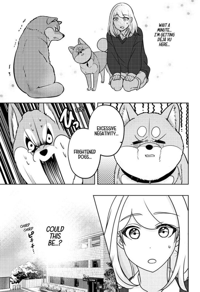 Shiba Tsuki Bukken 31 21