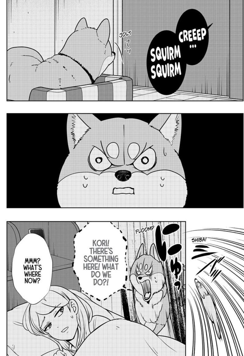 Shiba Tsuki Bukken 31 4