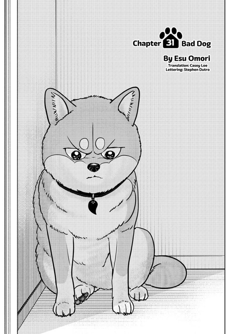 Shiba Tsuki Bukken 31 9