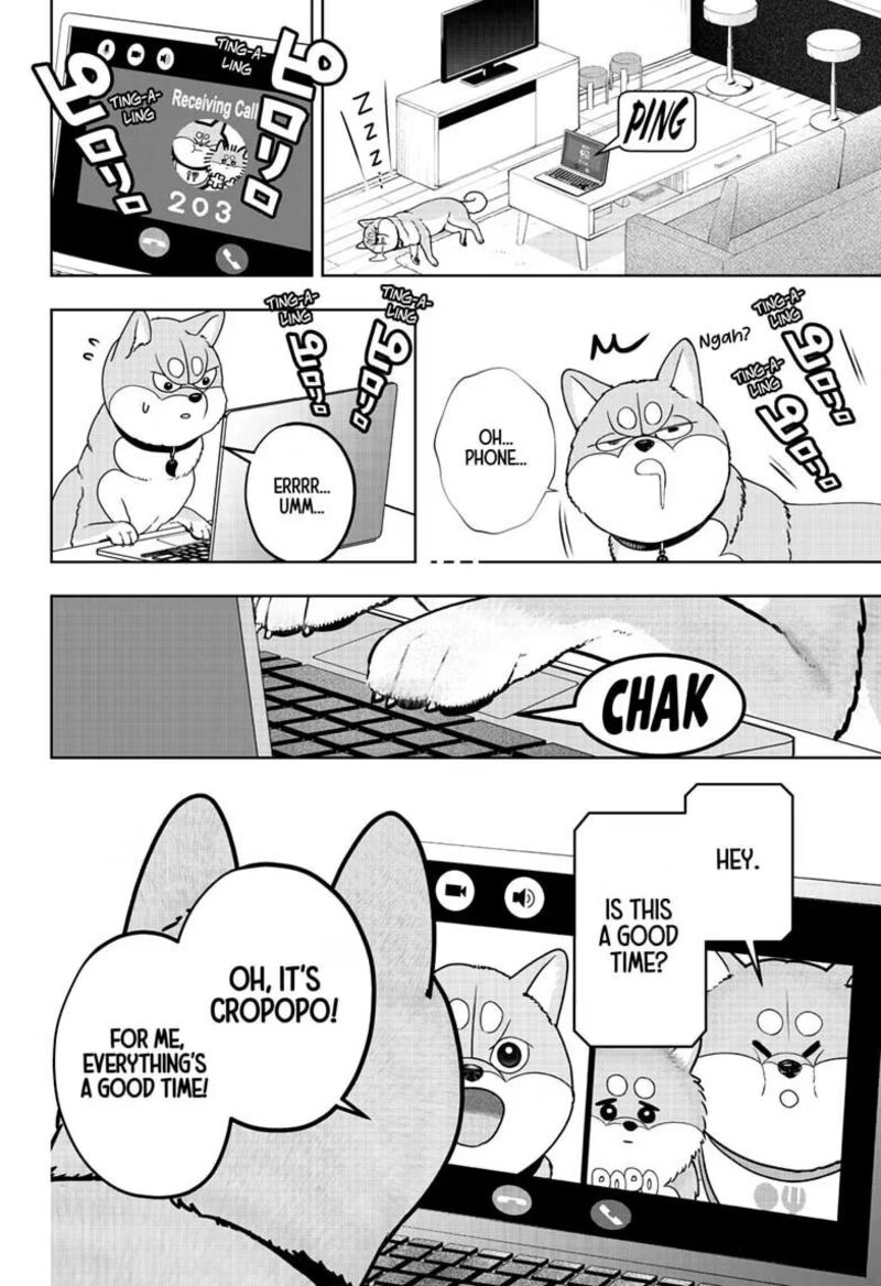 Shiba Tsuki Bukken 60 16