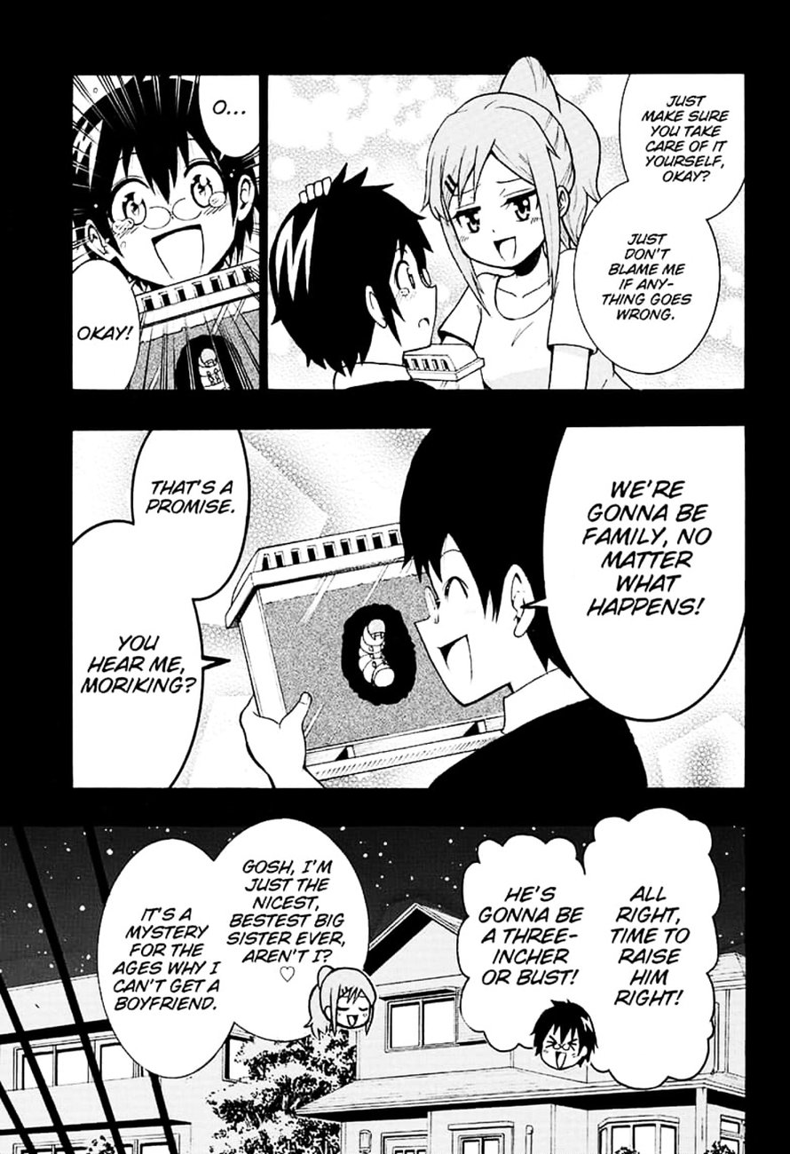 Shinrin Ousha Mori King 1 6