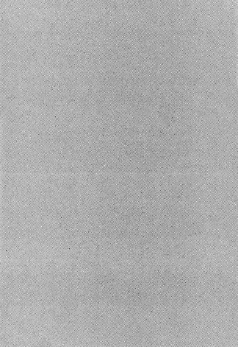 Shinya Shokudou 79 13