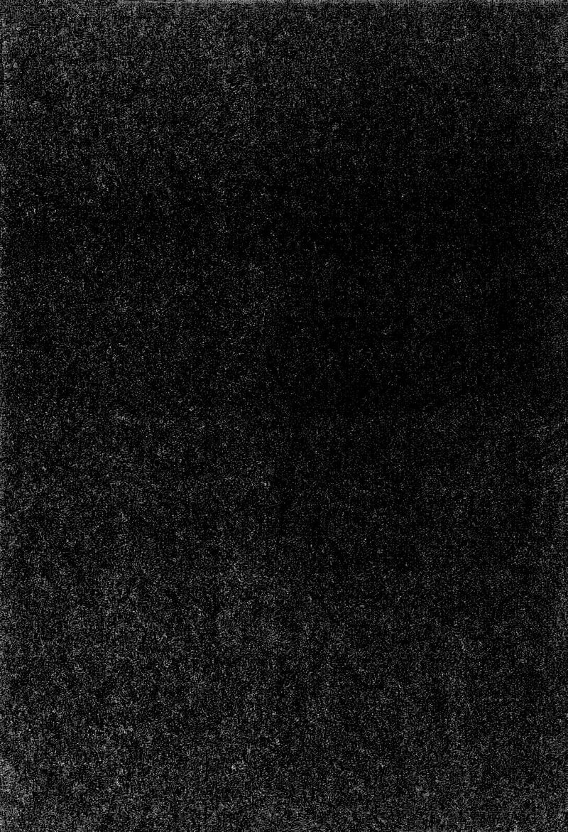 Shinya Shokudou 86 11