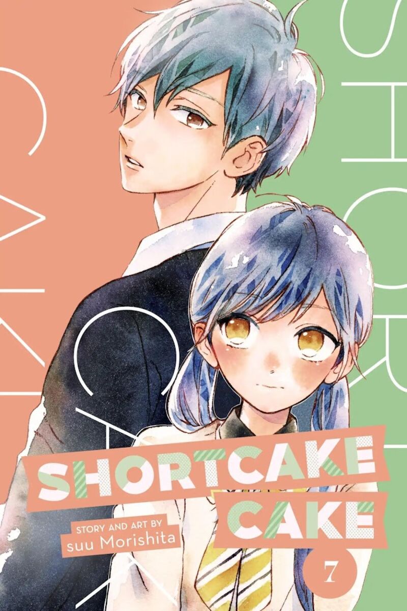Short Cake Cake 29 1