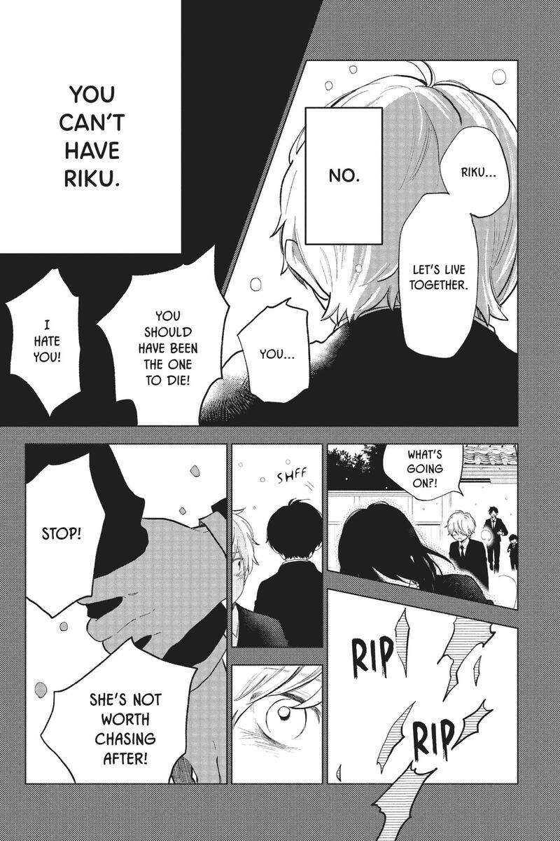 Short Cake Cake 56 20
