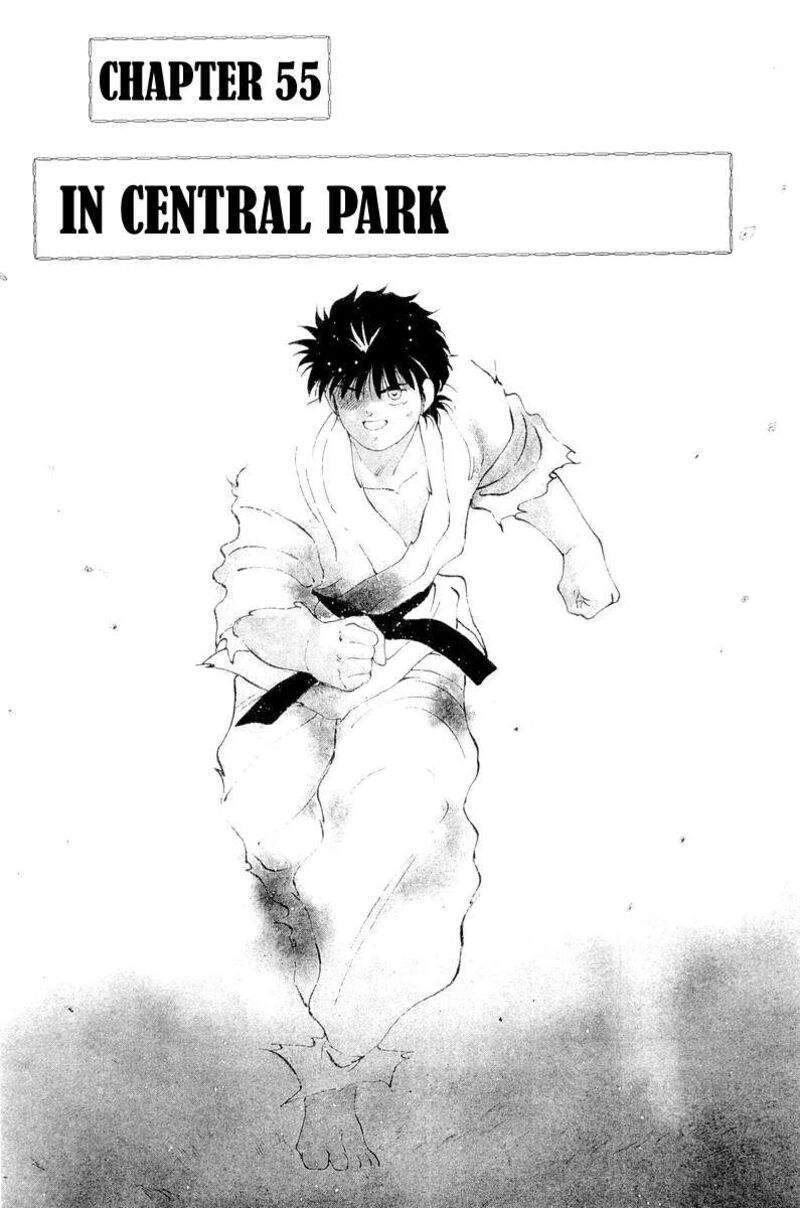 Shura No Mon Iden Fudekage 55 3