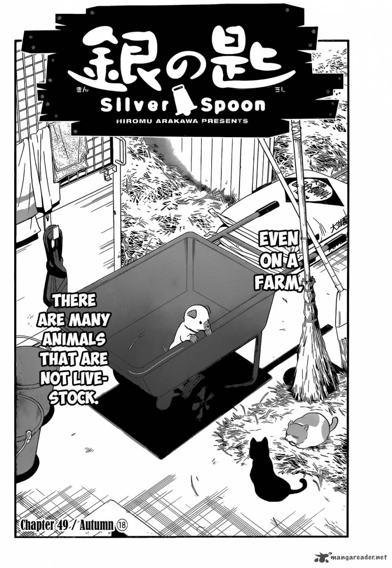 Silver Spoon 49 5