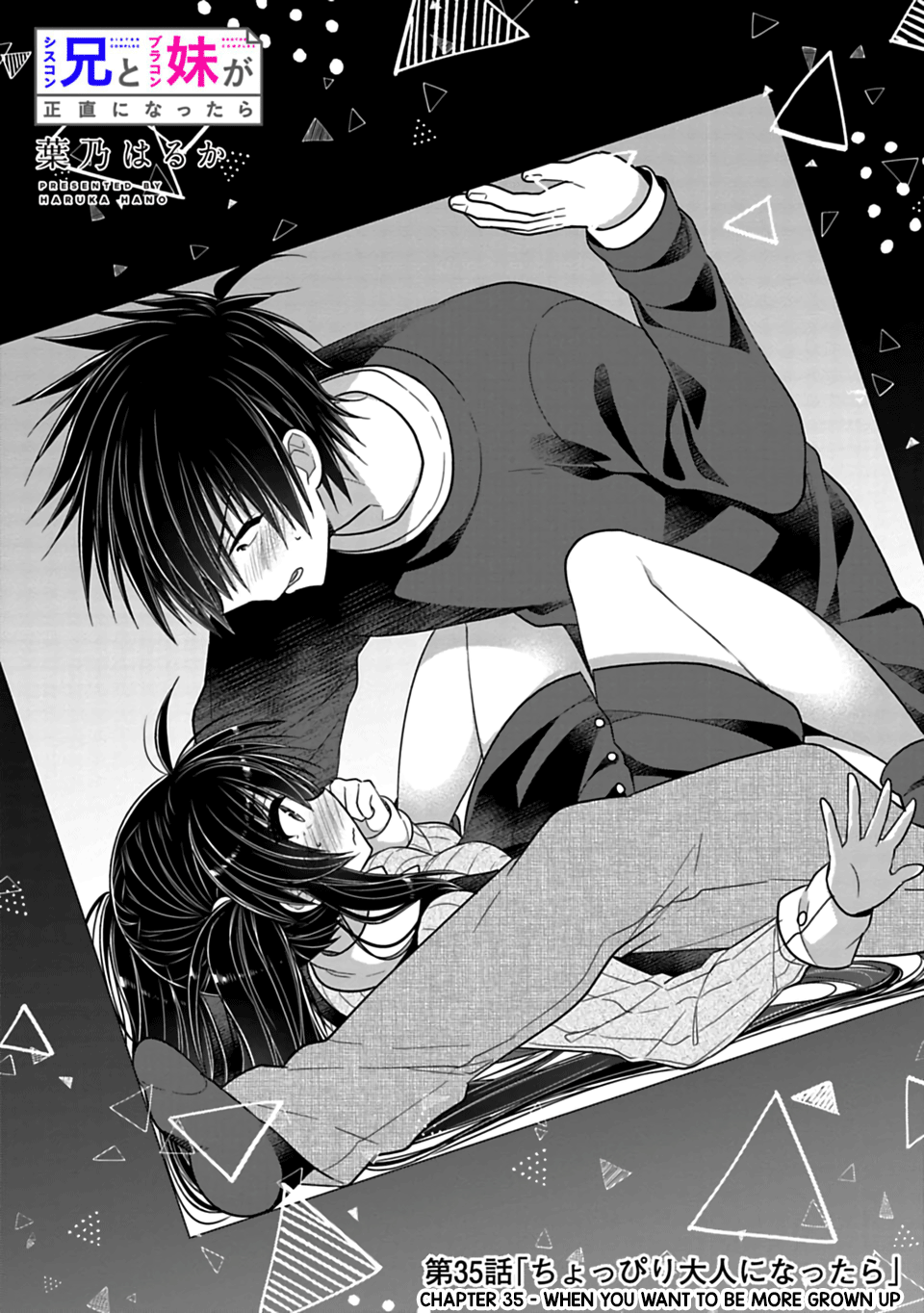 Siscon Ani To Brocon Imouto Ga Shoujiki Ni Nattara 35 2