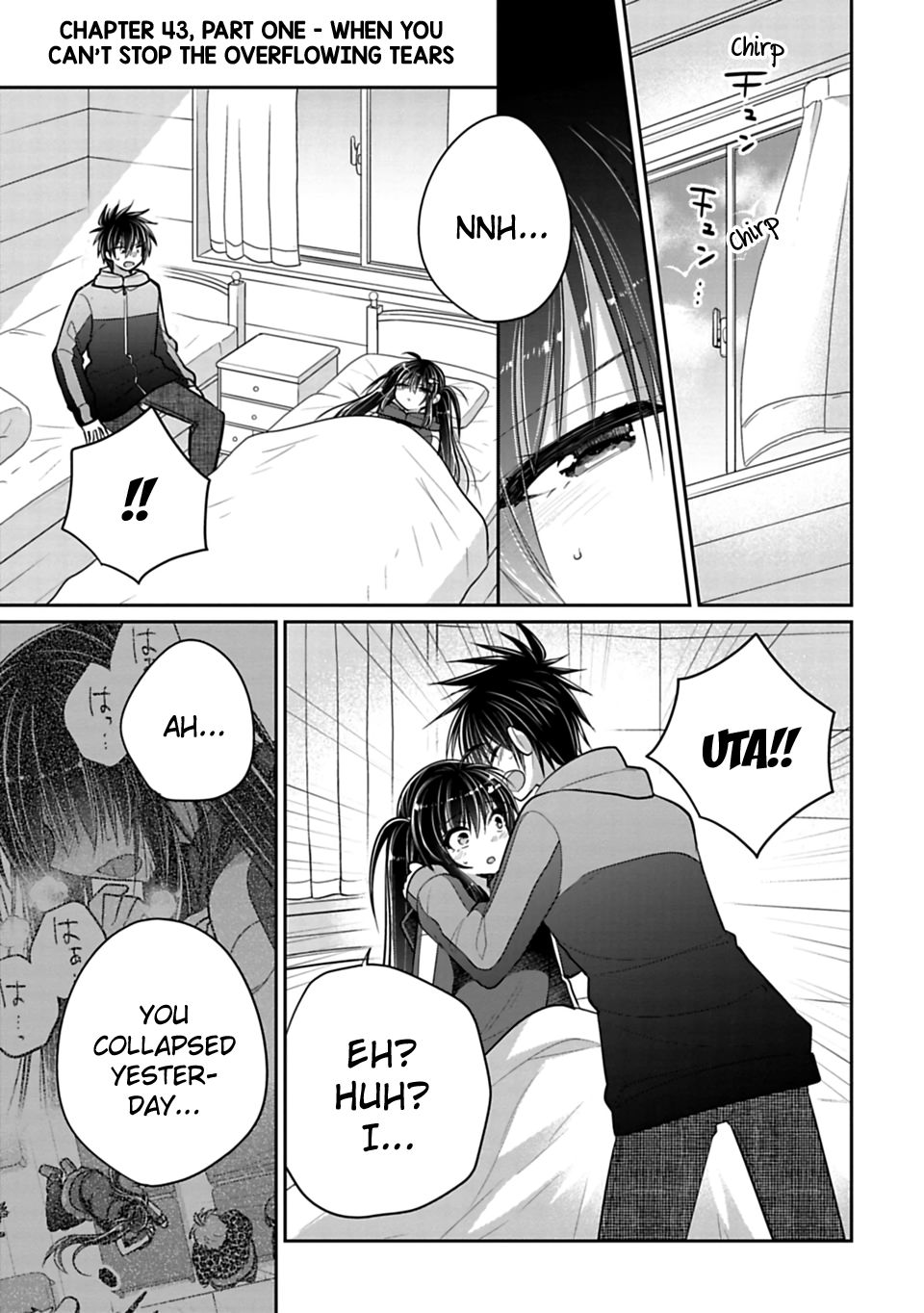 Siscon Ani To Brocon Imouto Ga Shoujiki Ni Nattara 43 1