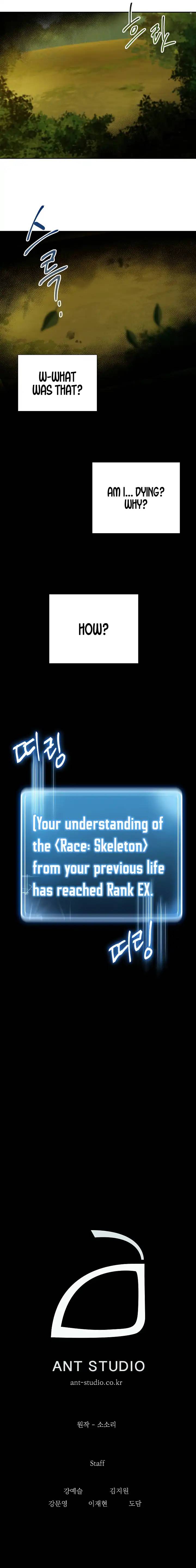 Skeleton Soldier Couldnt Protect The Dungeon 46 18