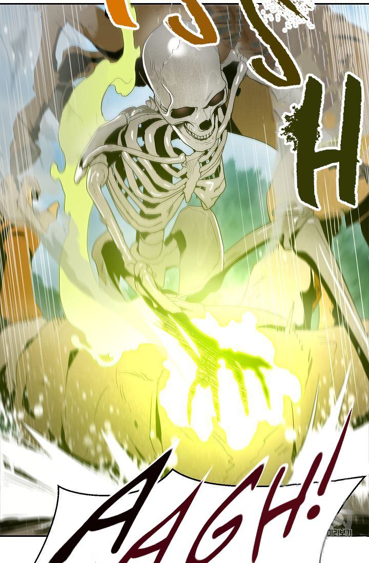 Skeleton Soldier Couldnt Protect The Dungeon 88 57