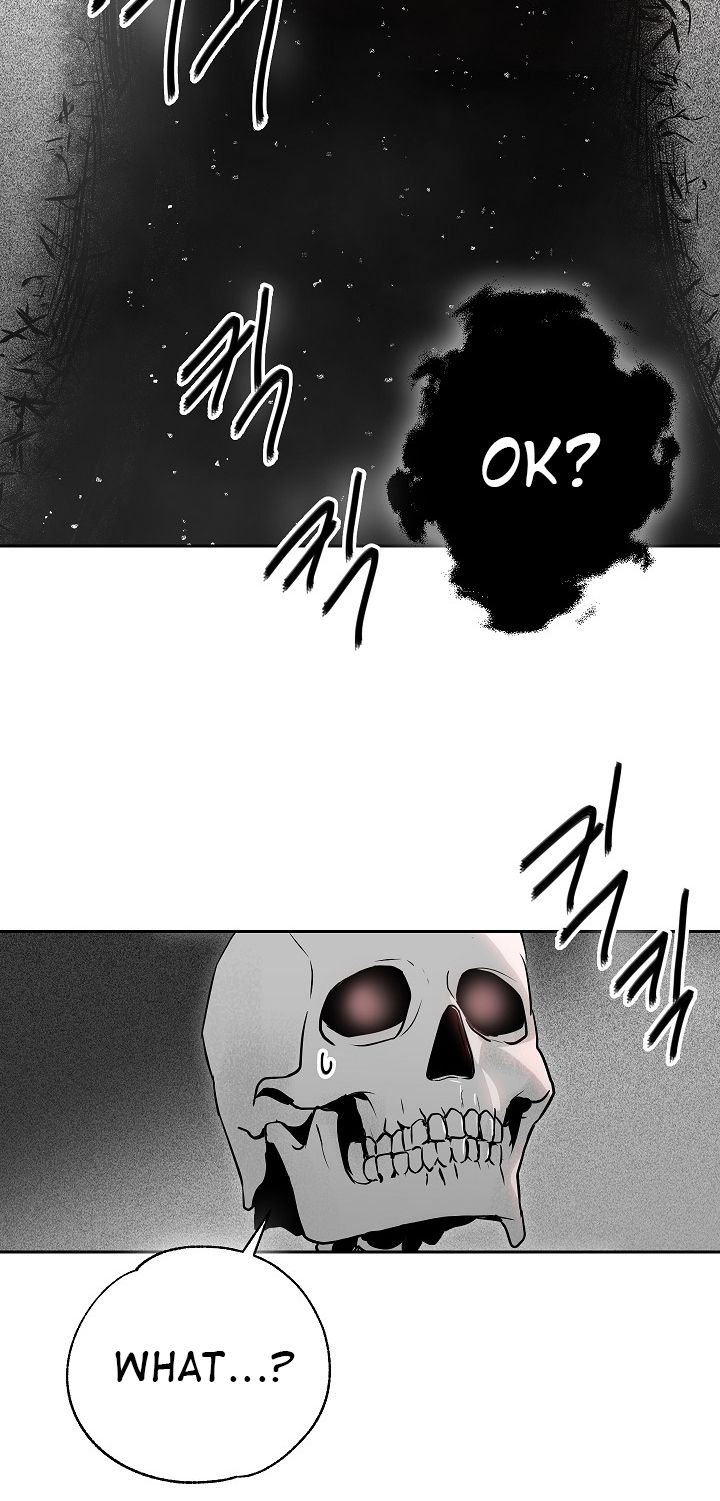 Skeleton Soldier Couldnt Protect The Dungeon 95 59