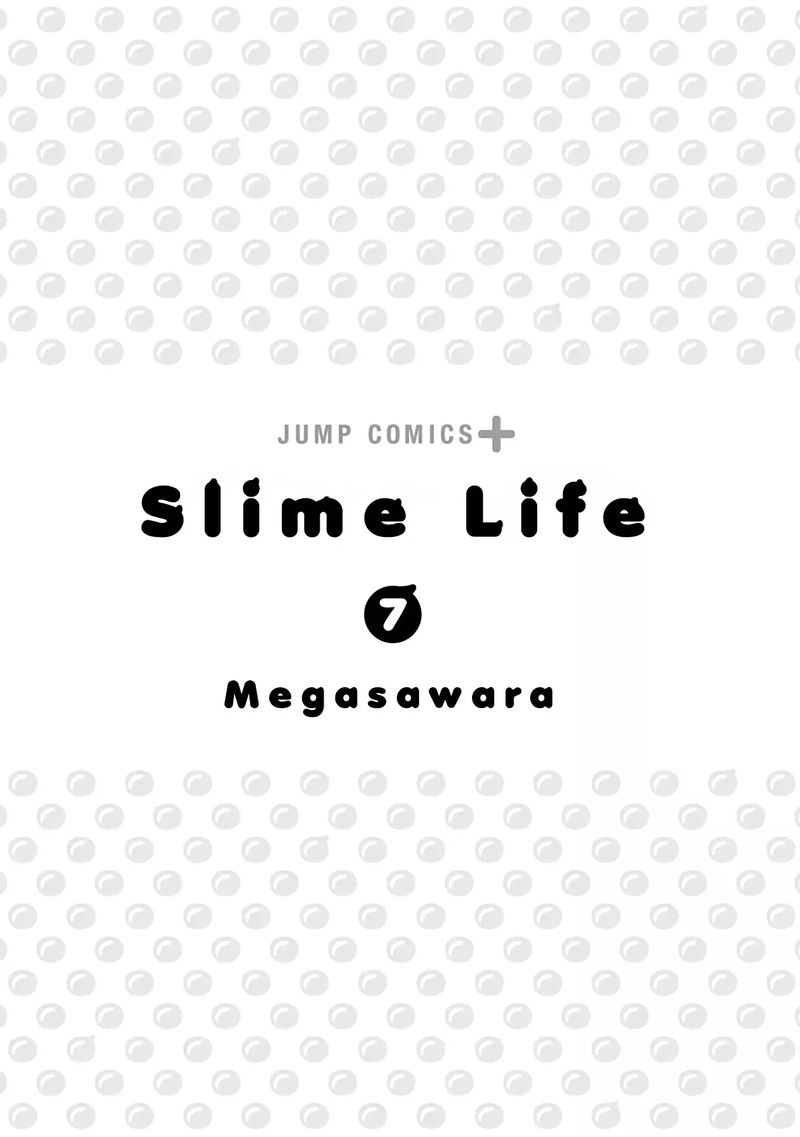 Slime Life 161 3