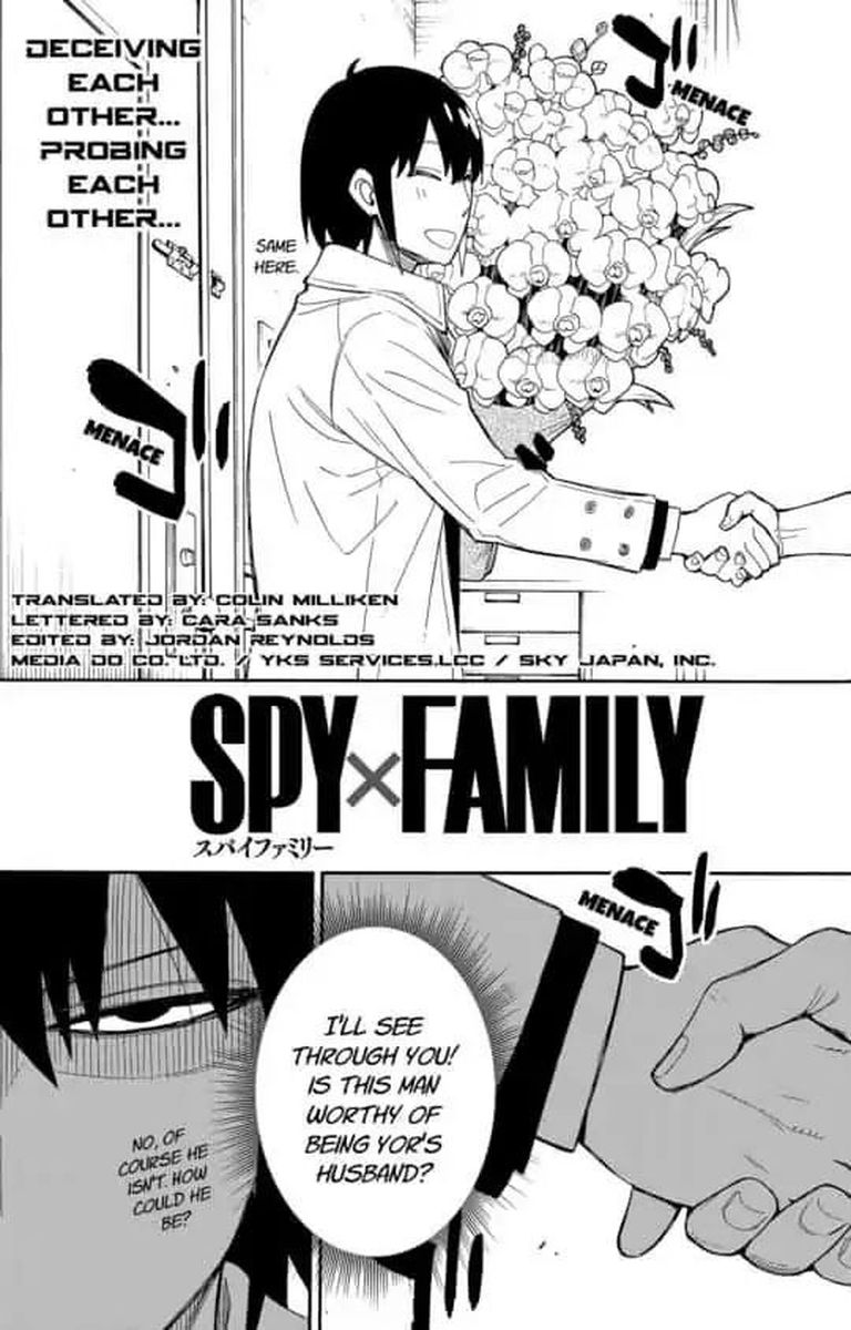 Spy X Family 12 3