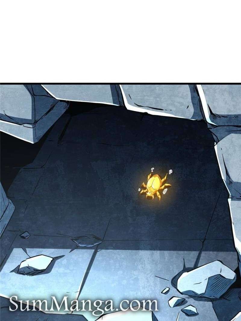 Super Gene 339 13