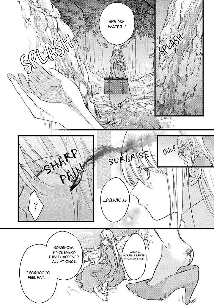 Suterare Danshaku Reijou Wa Kurokishi Sama No Oki Ni Iri 1b 3