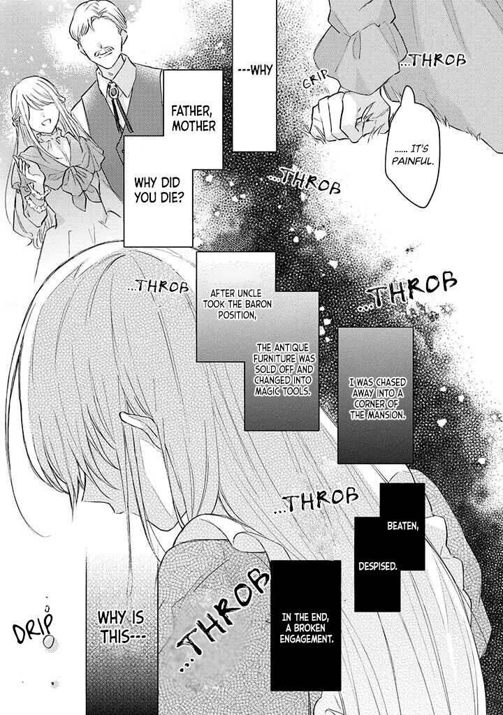 Suterare Danshaku Reijou Wa Kurokishi Sama No Oki Ni Iri 1b 4