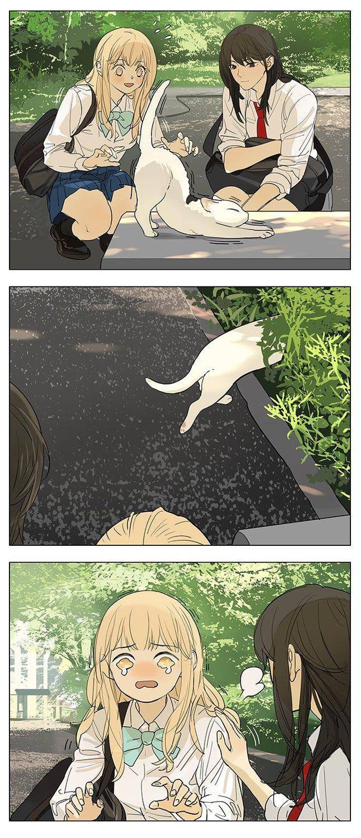 Tamen De Gushi 205 4