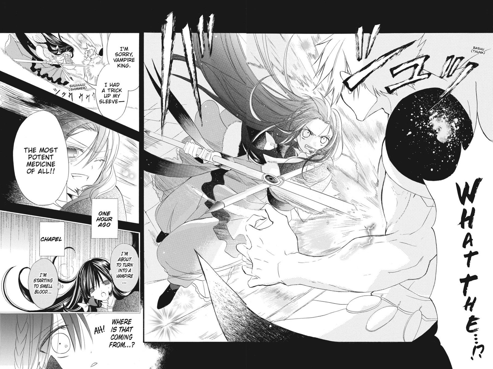 Tensei Akujo No Kuro Rekishi 17 11