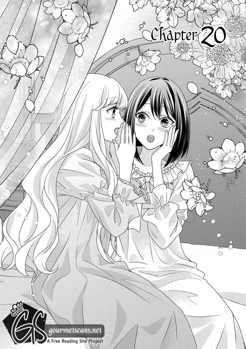 Tensei Koushaku Reijou Funtouki Watashi Rippa Ni Zamaasaretemisemasu 20 2