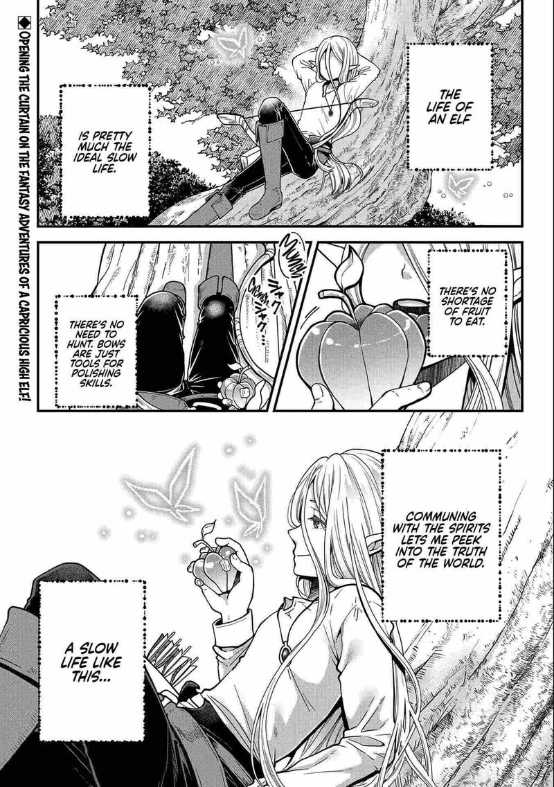 Tensei Shite High Elf Ni Narimashitaga Slow Life Wa 120 Nen De Akimashita 1 1