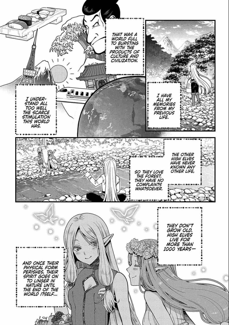 Tensei Shite High Elf Ni Narimashitaga Slow Life Wa 120 Nen De Akimashita 1 4