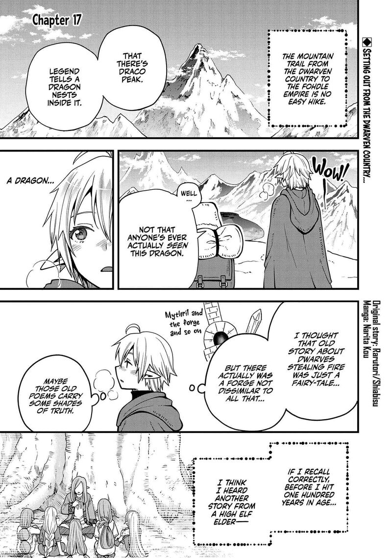 Tensei Shite High Elf Ni Narimashitaga Slow Life Wa 120 Nen De Akimashita 17 1