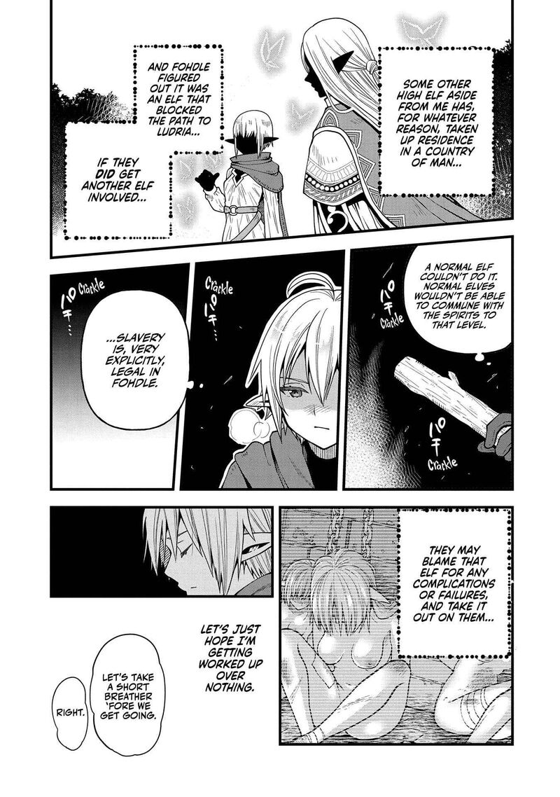 Tensei Shite High Elf Ni Narimashitaga Slow Life Wa 120 Nen De Akimashita 17 5