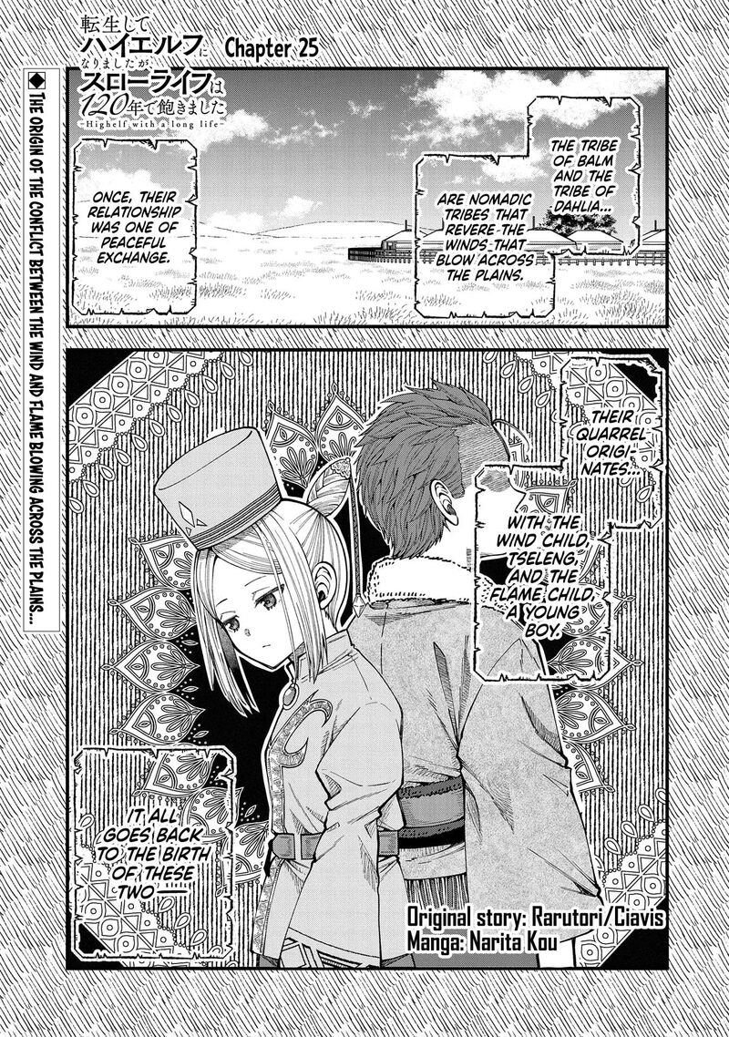 Tensei Shite High Elf Ni Narimashitaga Slow Life Wa 120 Nen De Akimashita 25 2