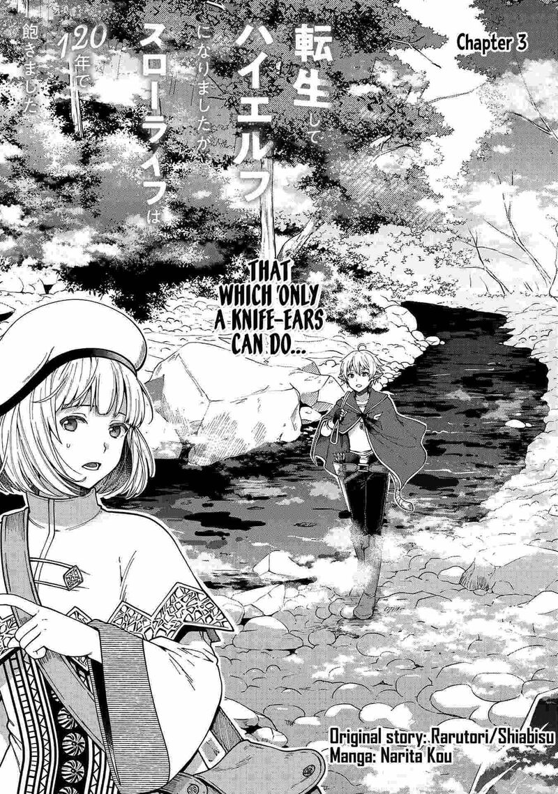 Tensei Shite High Elf Ni Narimashitaga Slow Life Wa 120 Nen De Akimashita 3 1