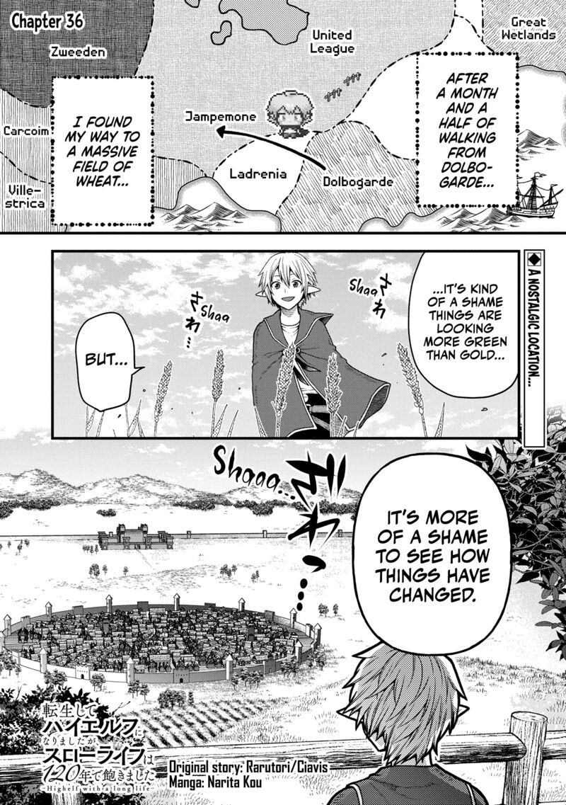 Tensei Shite High Elf Ni Narimashitaga Slow Life Wa 120 Nen De Akimashita 36 2