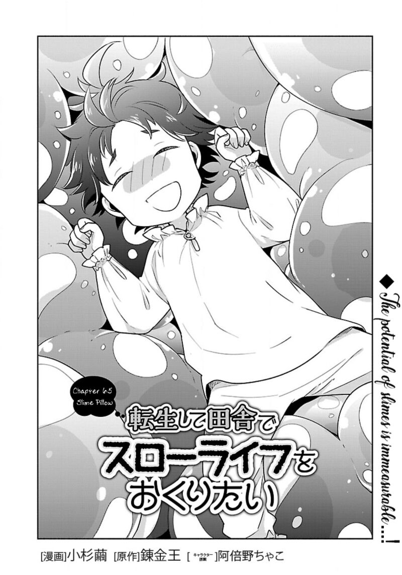 Tensei Shite Inaka De Slowlife Wo Okuritai 65 2