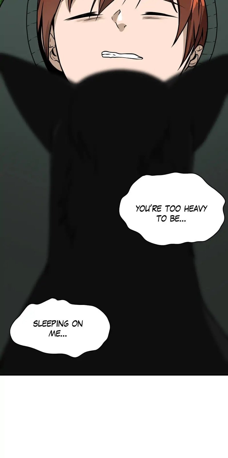 The Beginning After The End 56 4