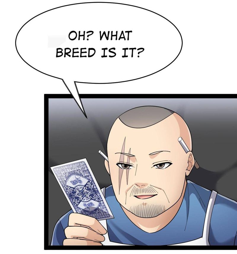 The Daily Life Of Immortal King 123 4