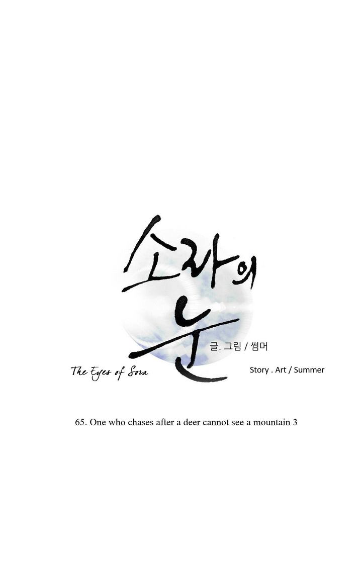 The Eyes Of Sora 65 1