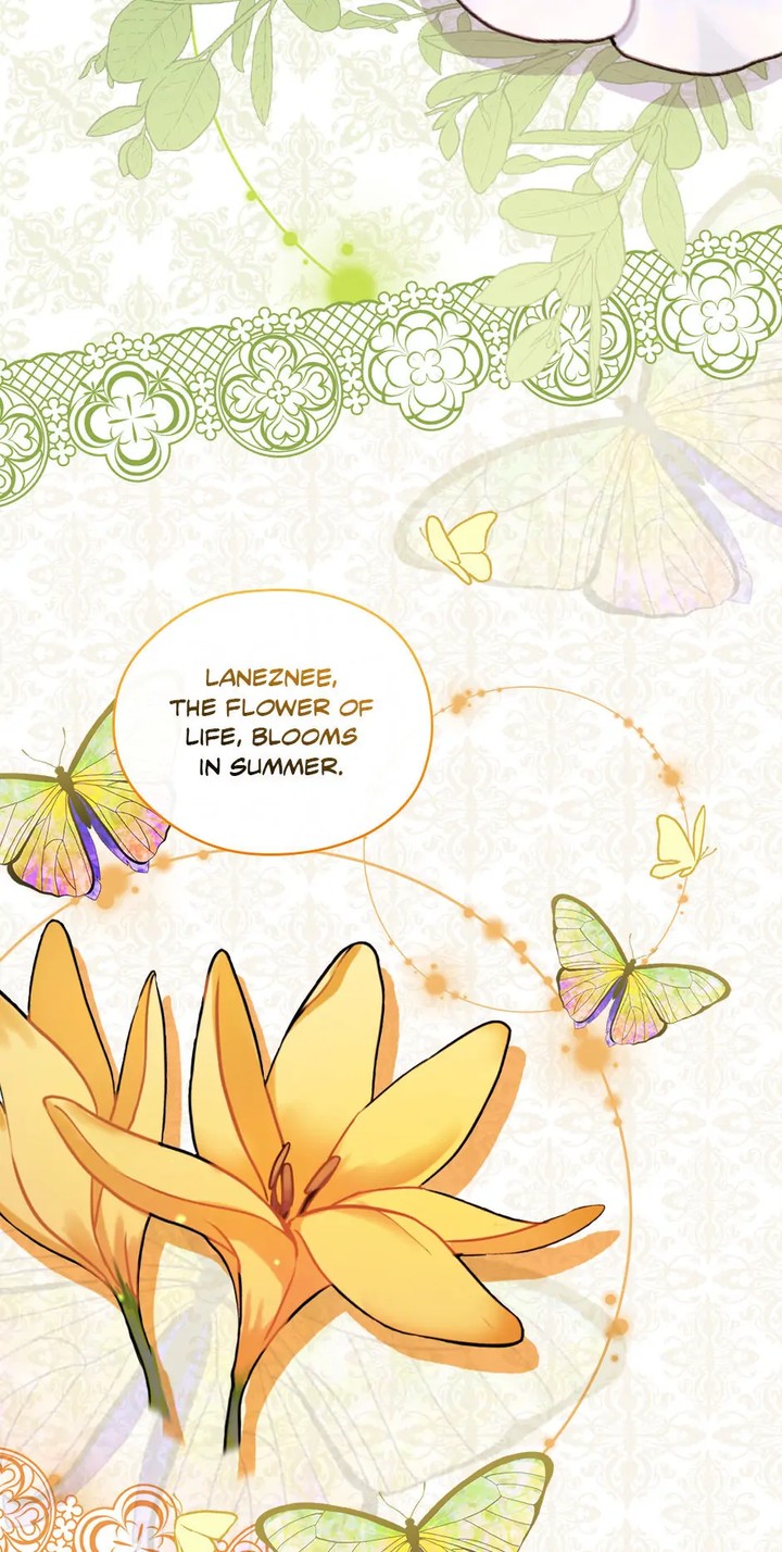 The Flower Dances And The Wind Sings 88 46