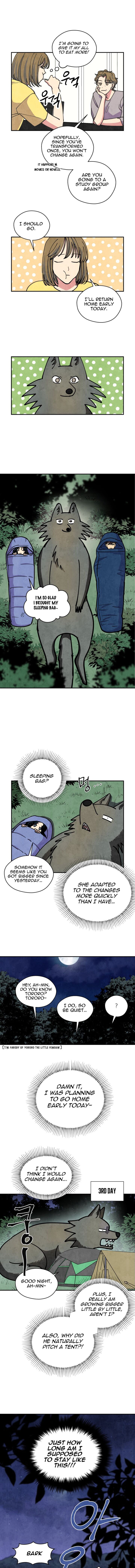 The Little Red Riding Hood 26 5