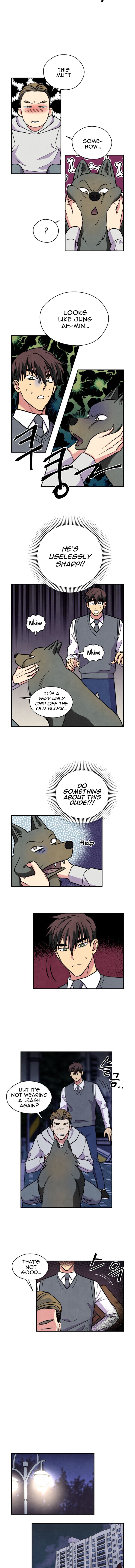 The Little Red Riding Hood 38 4