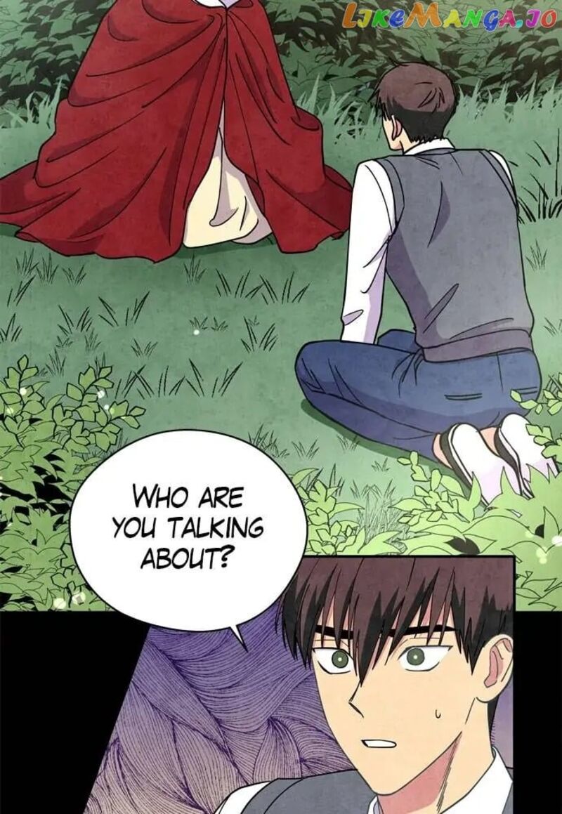 The Little Red Riding Hood 51 8