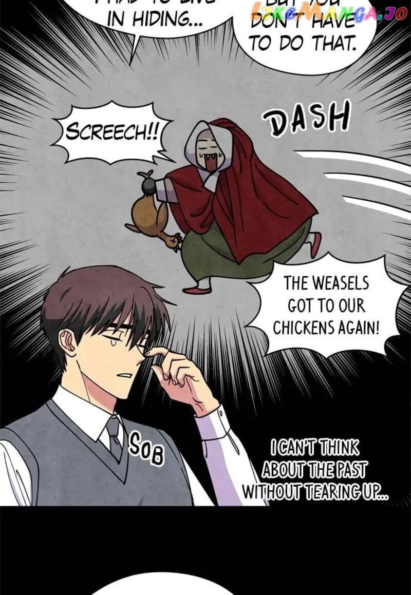 The Little Red Riding Hood 55 5