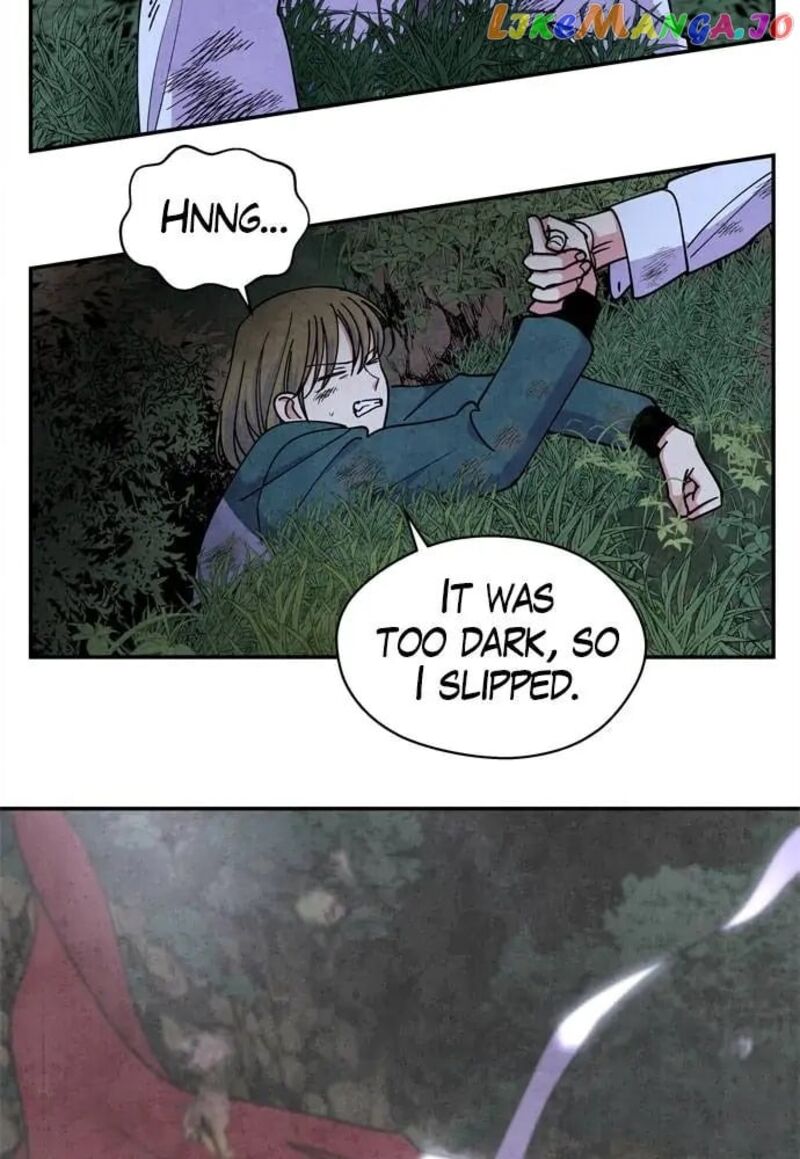 The Little Red Riding Hood 60 7