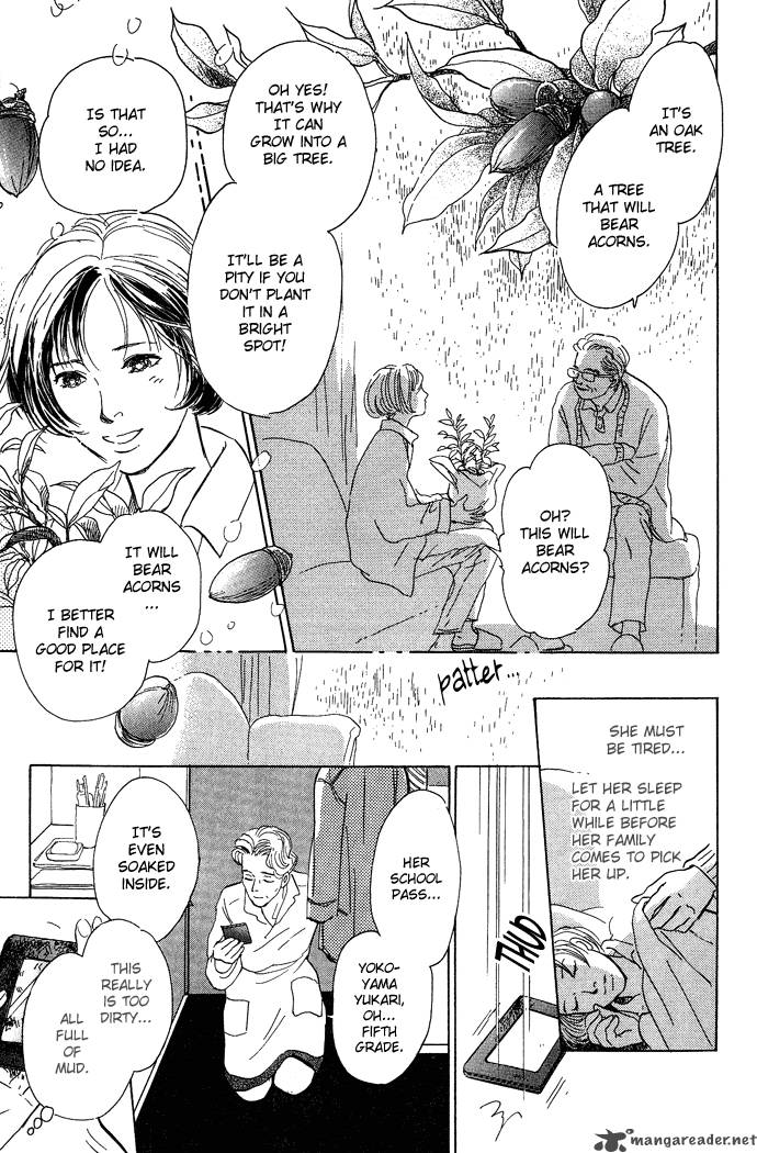 The Paradise On The Sand 3 8
