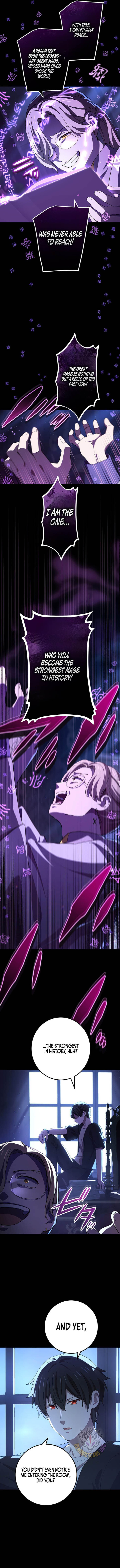 The Reincarnation Of The Forbidden Archmage 219 11