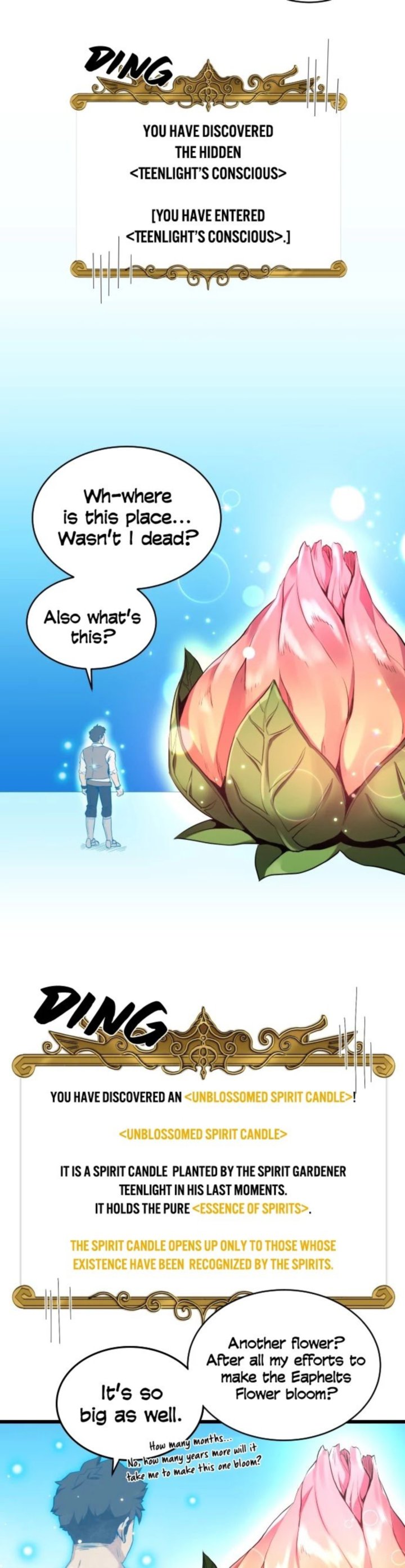 The Strongest Florist 11 23