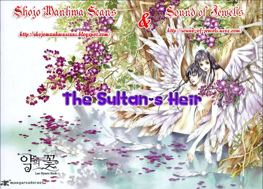 The Sultans Heir 2 1