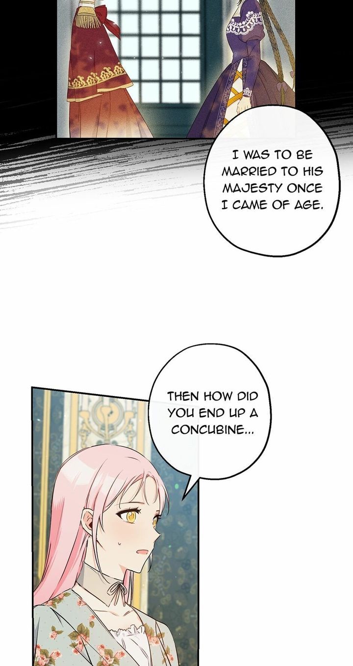 This Is An Obvious Fraudulent Marriage 68 7