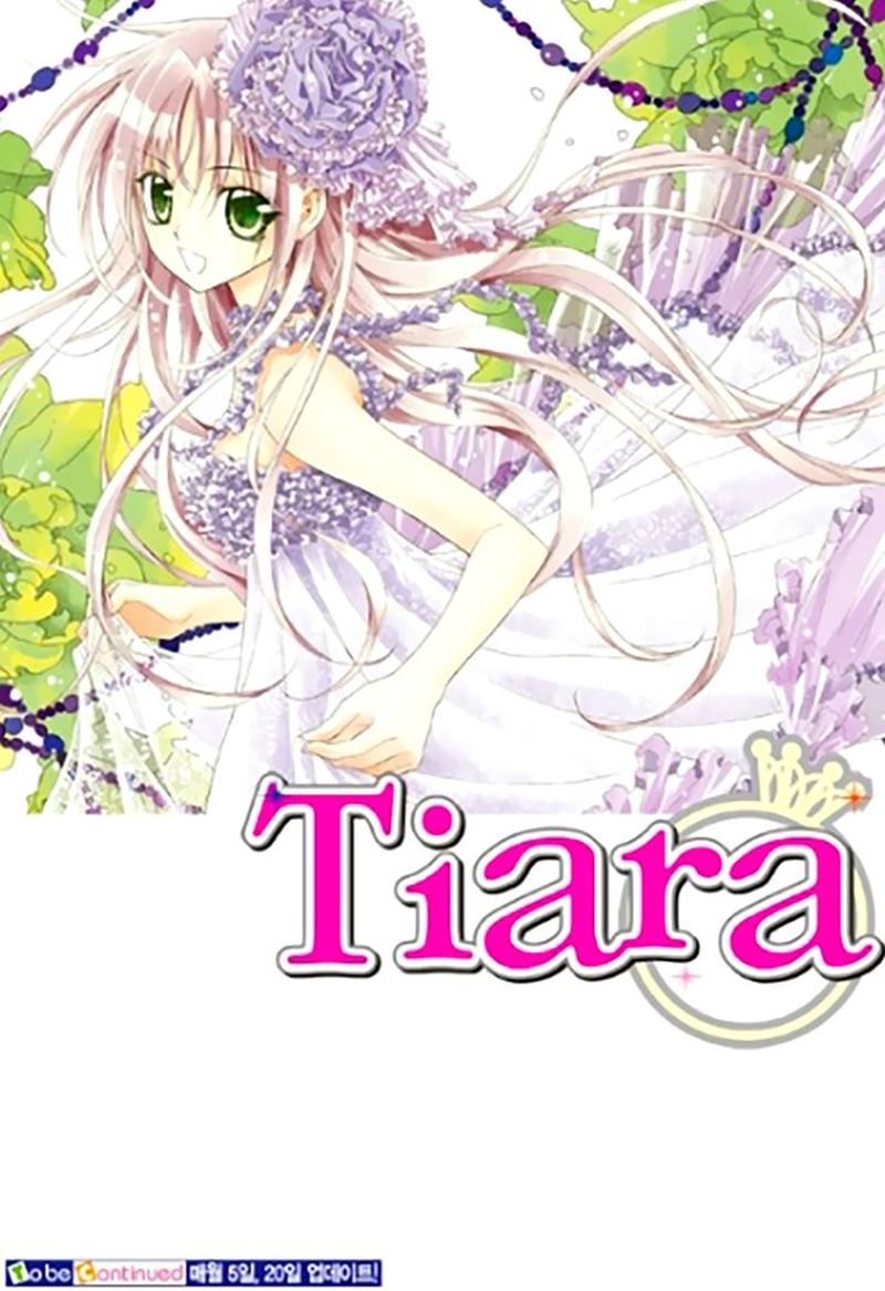 Tiara 95 23