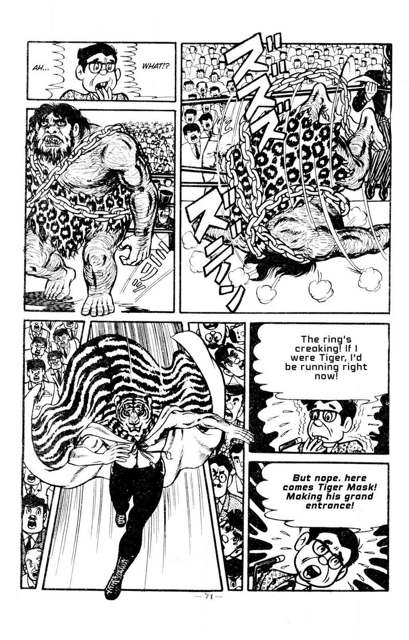 Tiger Mask 11 16