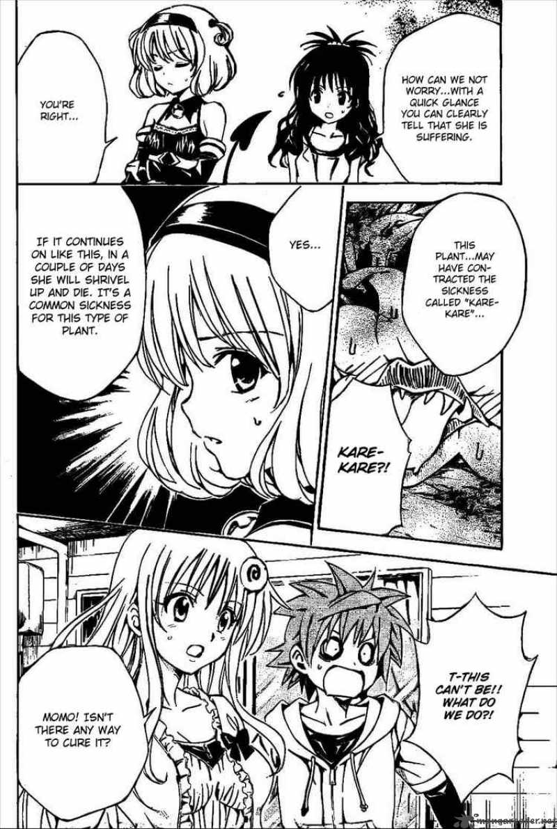 To Love Ru 124 6